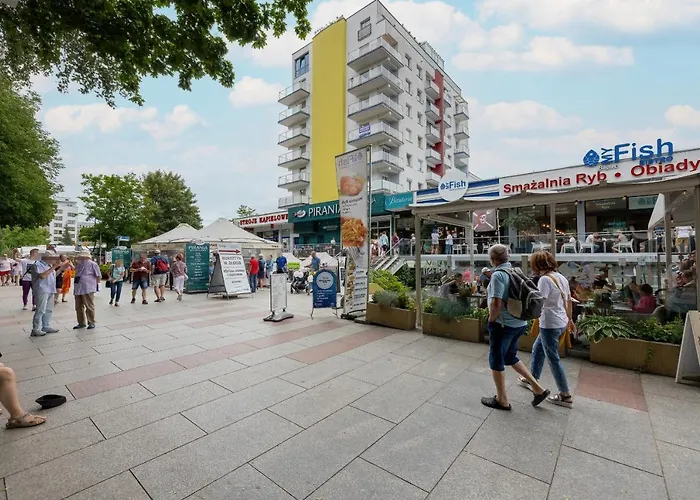 Przy Plazy Reymonta By Renters *